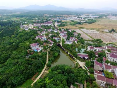 植綠不止，春山可望！馬鞍山市這個縣扛起高質量發展“綠色擔當”