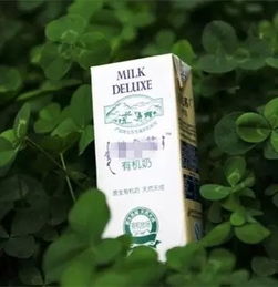 有機食品價格高企，馬鞍山美食廣場熱議 是健康投資還是消費泡沫？