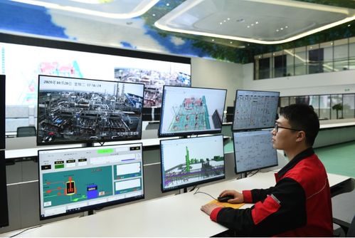 面向數(shù)字化未來，打造化工百年老店的信息技術(shù)咨詢服務(wù)